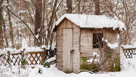 Ein verschneiter Schuppen ist im Winter ein idealer Überwinterungsort für Nützlinge wie Marienkäfer und Florfliegen. Sie sind natürliche Gegner von Schädlingen, wie Blattläusen.