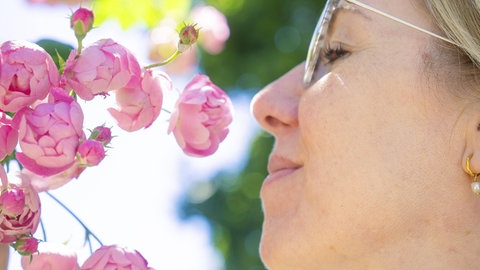 Eine Frau schnuppert an rosafarbenen Rosenblüten.
