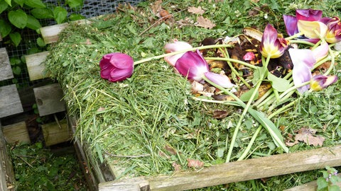 Tulpen, Gras und anderer Kompost liegen in einer Kompostkiste aus Holz.