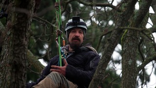 Baumpfleger Thomas Wolfromm sitzt in einem Baum. Er ist angeseilt und trägt einen Schutzhelm.