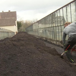 Die Gemüsejungs: Eine Gärtnerei wird zum Leben erweckt