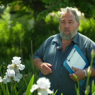 Fritz Lehmann läuft an Iris Blumen vorbei