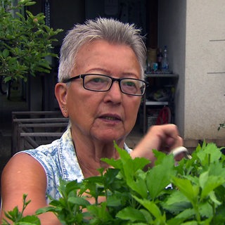 Eine Frau mit Brille schneidet eine Hecke in der Kleingartenkolonie Gartenfreunde Rheinau in Mannheim.