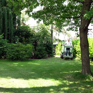 Garten mit Wiese und Bäume in Erdmannhausen