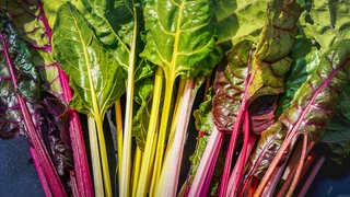 Spinat-Alternativen: Mehrere Mangoldblätter mit unterschiedlich farbigen Blättern.