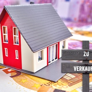 Ein Modellhaus auf Geldscheinen.