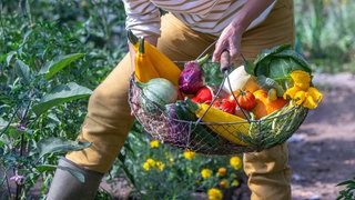 Gartenexpertin Natalie Bauer gibt Tipps, wie es auch im heimischen Garten oder auf dem Balkon klappt mit dem Anbauen von Gemüse.