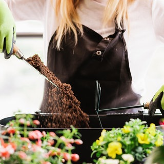 SWR1 Gartentipp von Natalie Bauer | Neue Erde für die Pflanzen | Das solltet ihr beim Umtopfen beachten