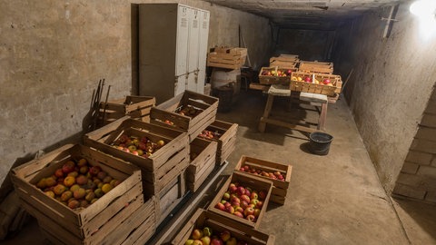 Mehrere Holzkisten mit Äpfeln stehen in einem dunkeln Keller, der durch eine Lampe erhellt wird.
