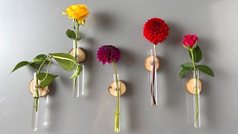 Blumige Kühlschrankmagnete