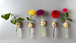 Blumige Kühlschrankmagnete