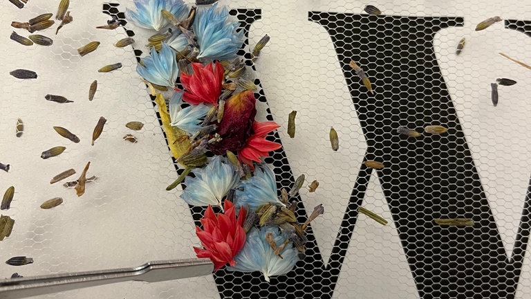 getrocknete Blüten im Stickrahmen