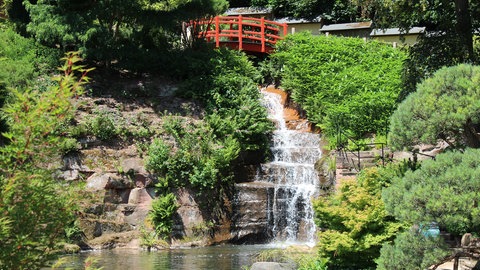 Der Japanische Garten in Kaiserslautern