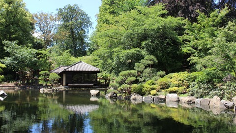 Der Japanische Garten in Kaiserslautern