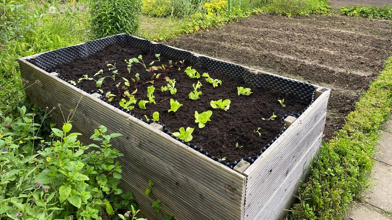 Hochbeet in einem Schrebergarten.
