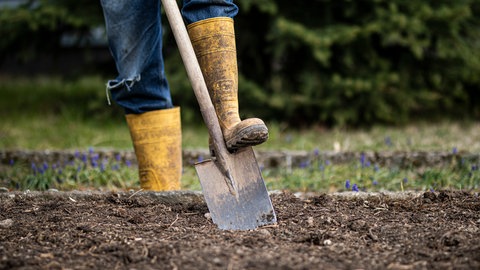 Garten winterfest machen: Ein Mann arbeitet in Gummistiefeln mit Spaten in einem Garten.