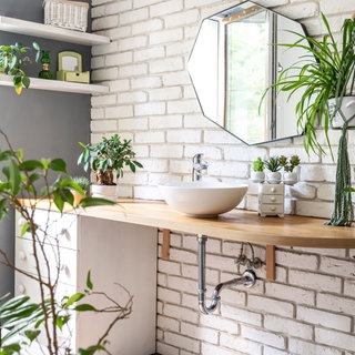 Zimmerpflanzen im Bad