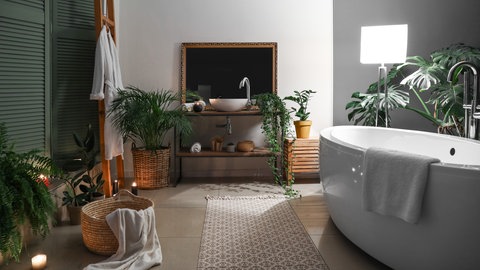 Zimmerpflanzen im Bad