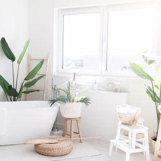 Zimmerpflanzen im Bad