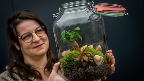 Flaschengarten selber machen: Eine Frau hält ein Glas mit Pflanzen in der Hand.