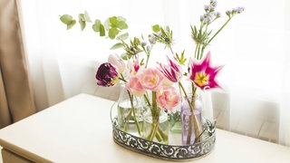 Frühlingsdeko: für den Frühling typische Tulpen und andere Blumen in Gläsern auf einem Tablett, das auf einer Kommode steht.