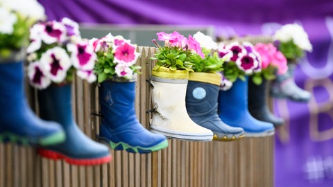 In weiß-blaue Kindergummistiefel wurden rosa-weiße Blumen gepflanzt und an einem Holzlattengartenzaun befestigt. Besonders schön sind auch Zwiebelblumen im Frühling.