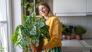 Pflanzen richtig pflegen: Frau hält Zimmerpflanze im Topf in der Hand