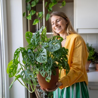 Pflanzen richtig pflegen: Frau hält Zimmerpflanze im Topf in der Hand
