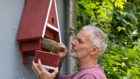 Ein Mann reinigt einen roten Nistkasten, der an der Hauswand hängt.