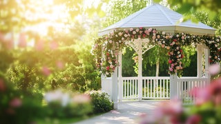 Rosen an einem Pavillon