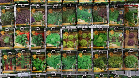 Tüten mit Blumen und Gemüsesamen hängen an einem Verkaufsregal eines Gartencenters.