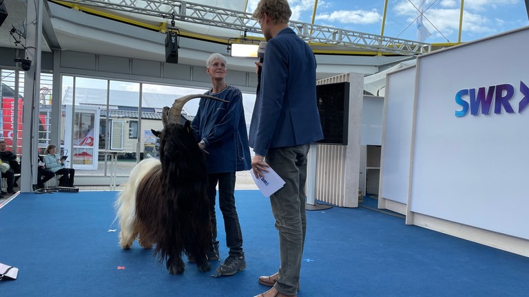 Ziegenbock auf der Bühne im Gläsernen Studio