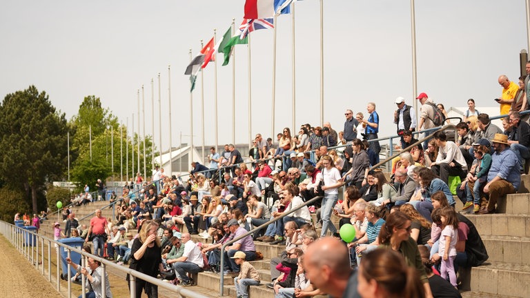 Personen sitzen auf einer Tribüne und beobachten den Kälbervorführwettbewerb.