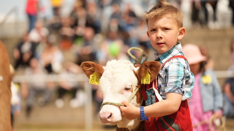 Ein Junge mit seinem Kalb.