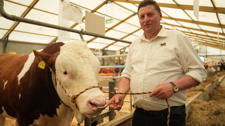 Auch auf dem Maimarkt zu sehen: Bulle mit Bauer - mehr als eine 1.000 Kilogramm wiegt das Tier namens Hans
