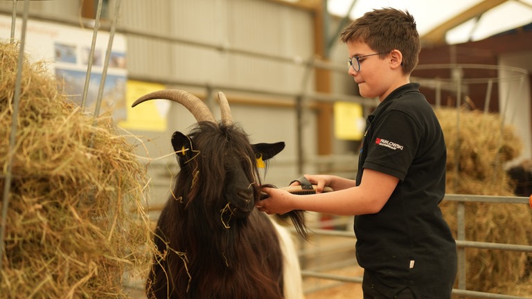 Julian passt auf Ziege Pearl auf und bürstet sie liebevoll.