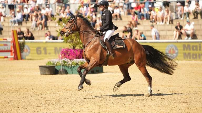Weltklasse-Reitsport in Mannheim: Beim Maimarkt-Turnier starten unter anderem Springreiter Christian Kukuk, Einzel-Olympiasieger von Paris, und Dressurreiterin Isabell Werth, Deutschlands erfolgreichste Olympionikin. 