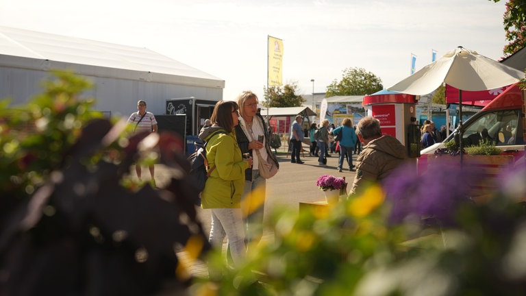Frühlingsstimmung auf dem Mannheimer Maimarkt: Besucher flanieren zwischen Ständen und Blumen.