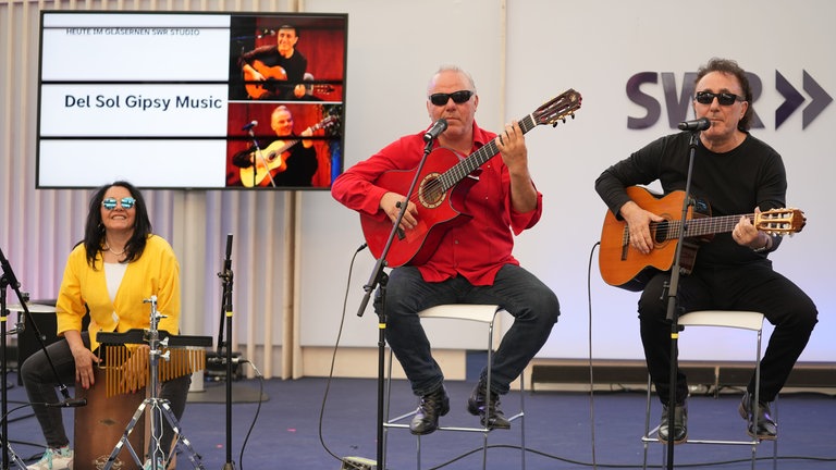 Die Gipsy Music Band Del Sol auf der SWR-Bühne im Gläsernen Studio.