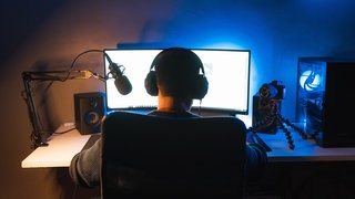 Eine Person sitzt vor einem PC und arbeitet.