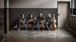 Signum Quartett auf der Couch