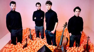 Das Vision String Quartet