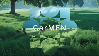 CarMEN