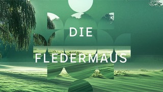 Die Fledermaus