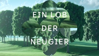 Ein Lob der Neugier