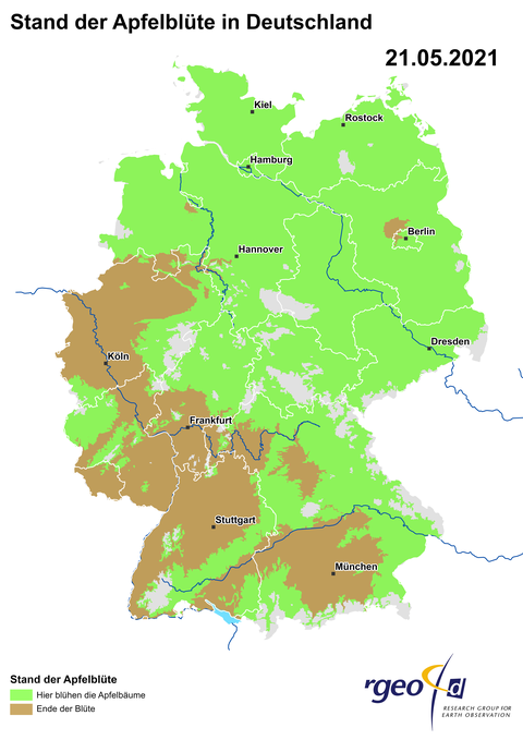 Landkarte der Ausbreitung der Apfelblüte in Deutschland am 21. Mai 2021