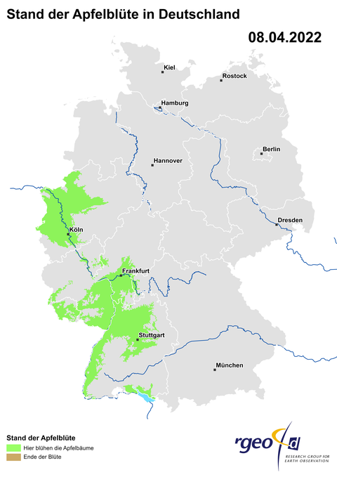 Aus den eingegangenen Daten berechnete Ausbreitung der Apfelblüte am 8. April.