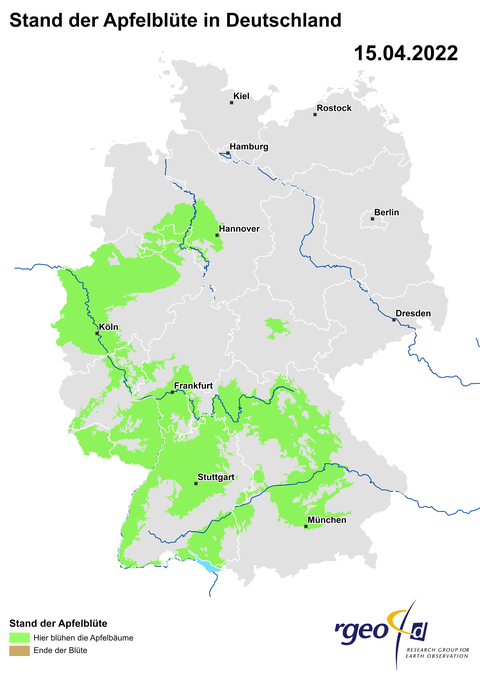 Aus den gemeldeten Beobachtungen berechnete Apfelblütenlandkarte für den 15. April 2022.