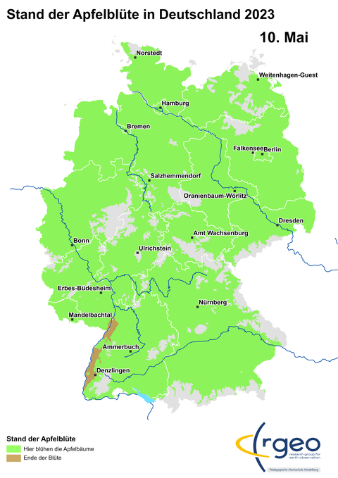 10. Mai: Wir weisen auf dieser Karte nun zum ersten Mal Gebiete aus, von denen wir aufgrund der Datenlage ausgehen, dass dort die Blüte fast aller Apfelsorten zu Ende ist. Einzelbäume können dort in seltenen Fällen aber noch blühend angetroffen werden. Gerne melden!