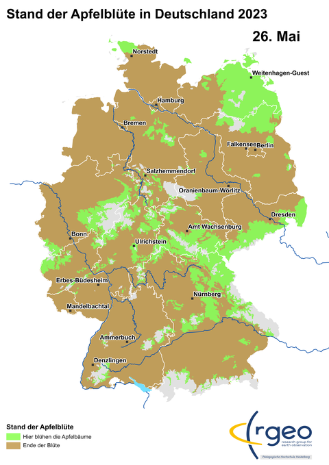 26. Mai Sieht sehr nach weiterer Schrumpfung aus -  den "Verblühparameter" in unserem Modell haben wir auf 22 Tage eingestellt. Das sollte passen, denn nun ist, passend zur Meldungslage, beispielsweise auch Norstedt in Nordfriesland in der braungefärbten Verblühzone drin.